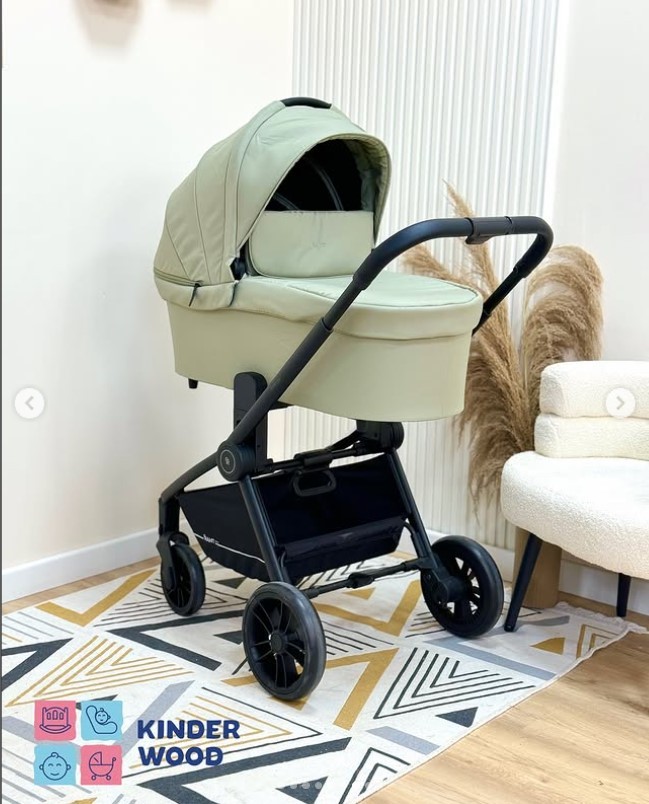 Коляска 2 в 1 Rant Basic Energy Green 2024