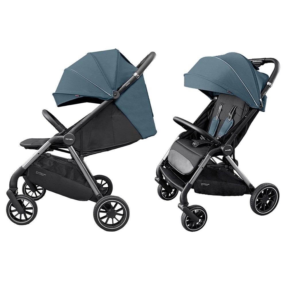 Коляска CARRELLO Delta Sky Blue