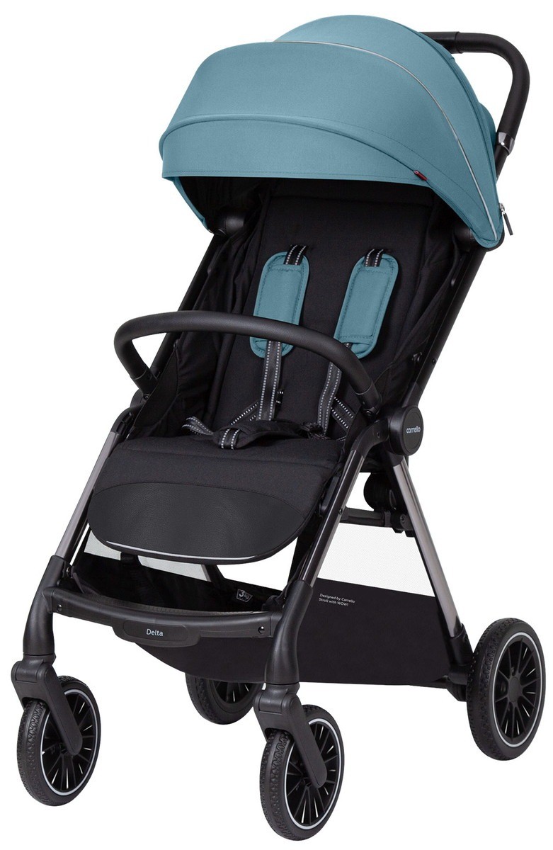 Коляска CARRELLO Delta Sky Blue