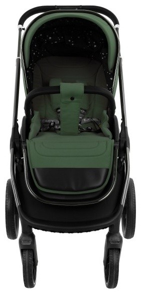 Коляска 2 в 1 Pituso Mayla Luxury Forest Green