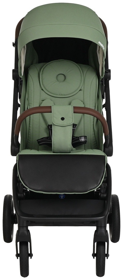 Коляска прогулочная Pituso Matrix Emerald mood