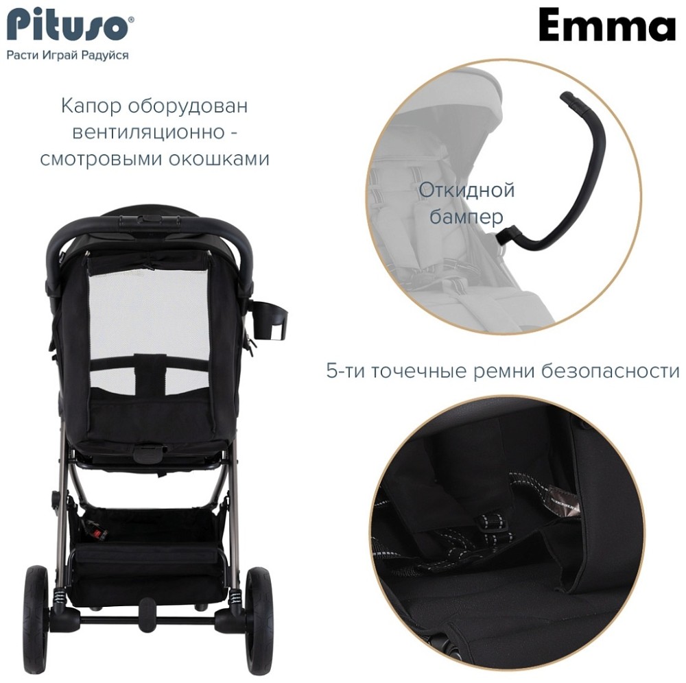 Коляска прогулочная Pituso Emma Black