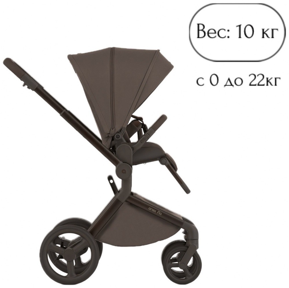 Коляска 2 в 1 Anex Flo Browny