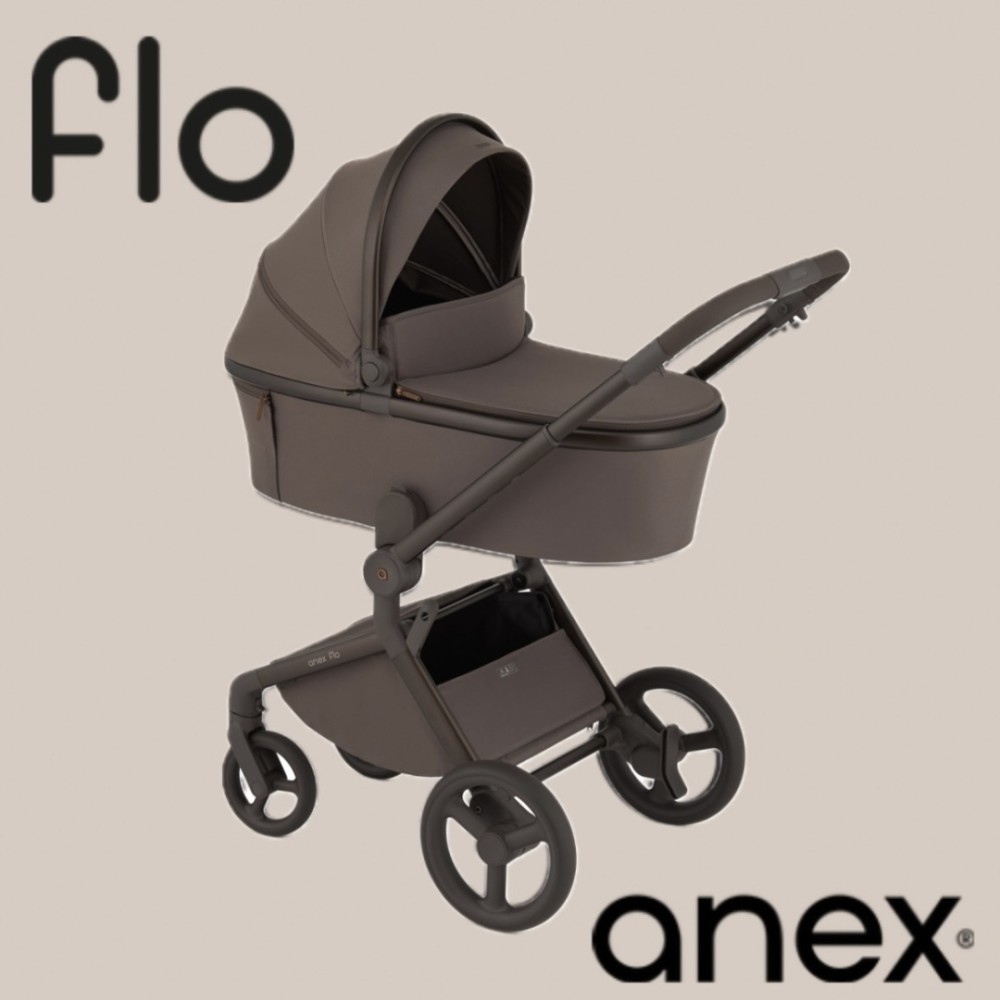 Коляска 2 в 1 Anex Flo Browny