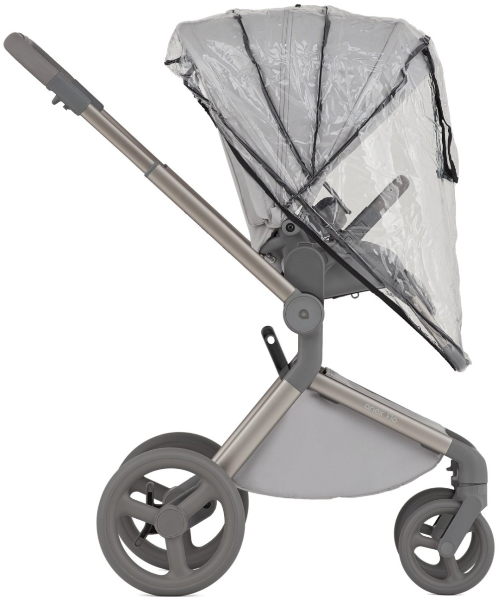 Коляска 2 в 1 Anex Flo Frossy