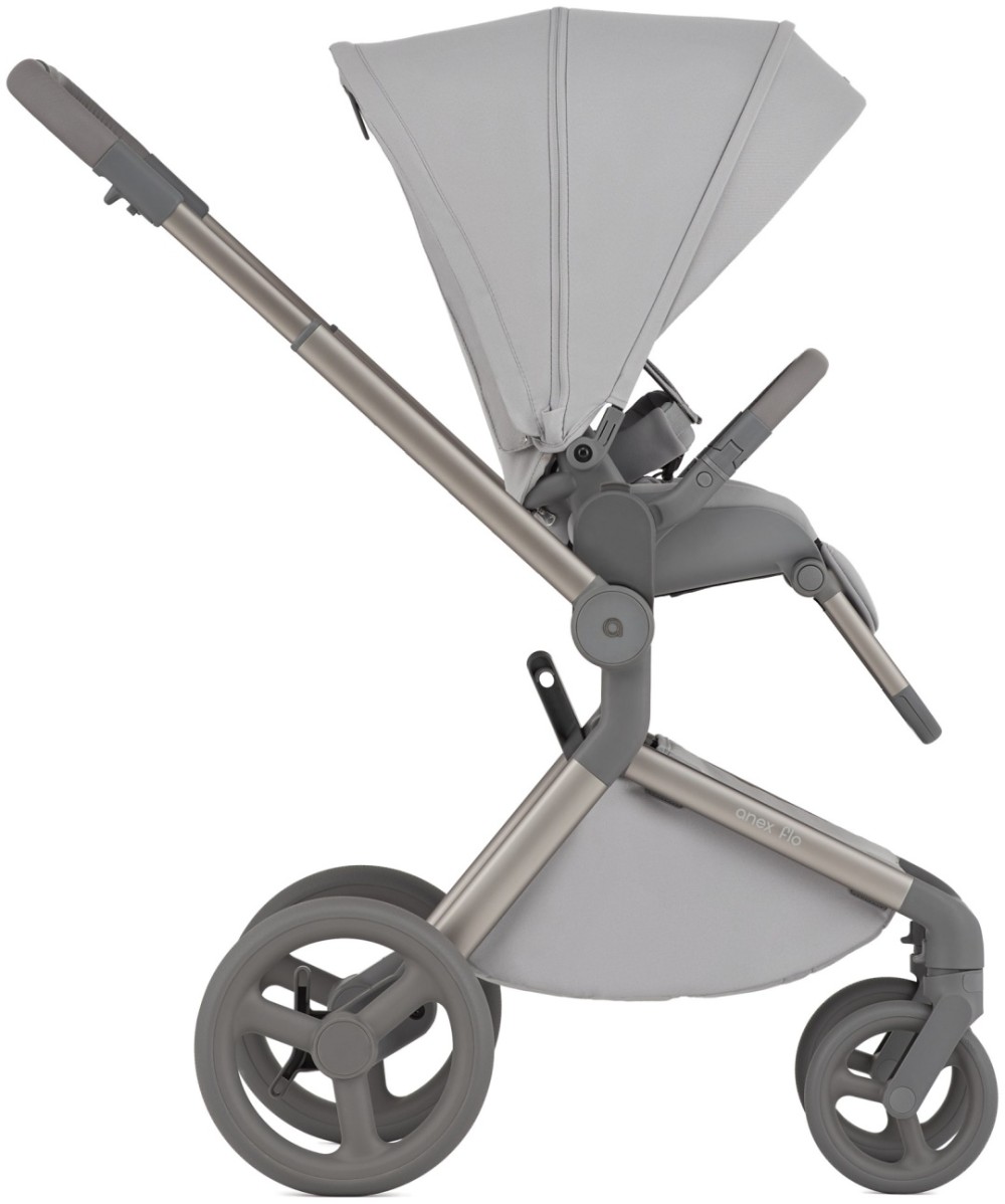 Коляска 2 в 1 Anex Flo Frossy