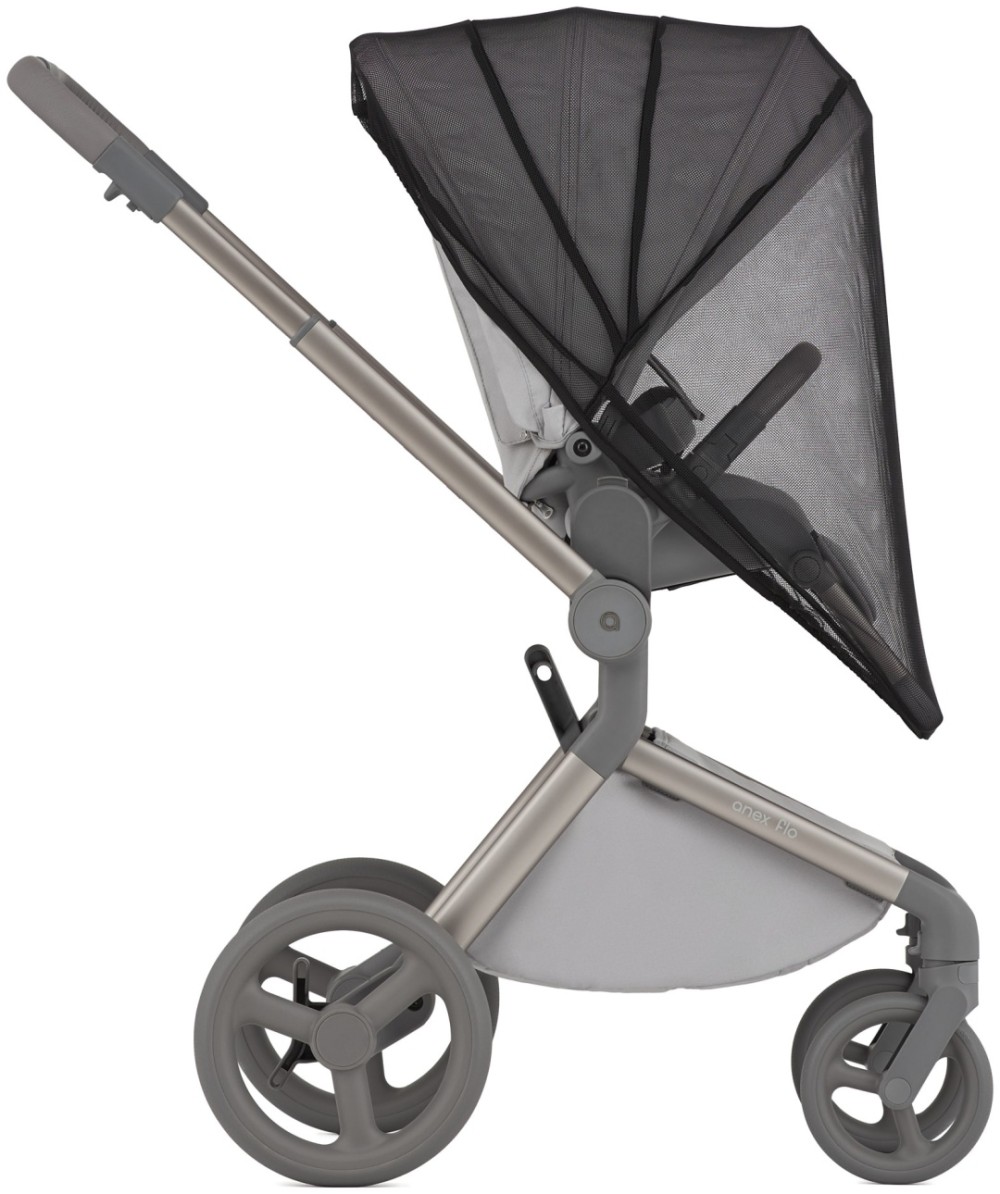 Коляска 2 в 1 Anex Flo Frossy