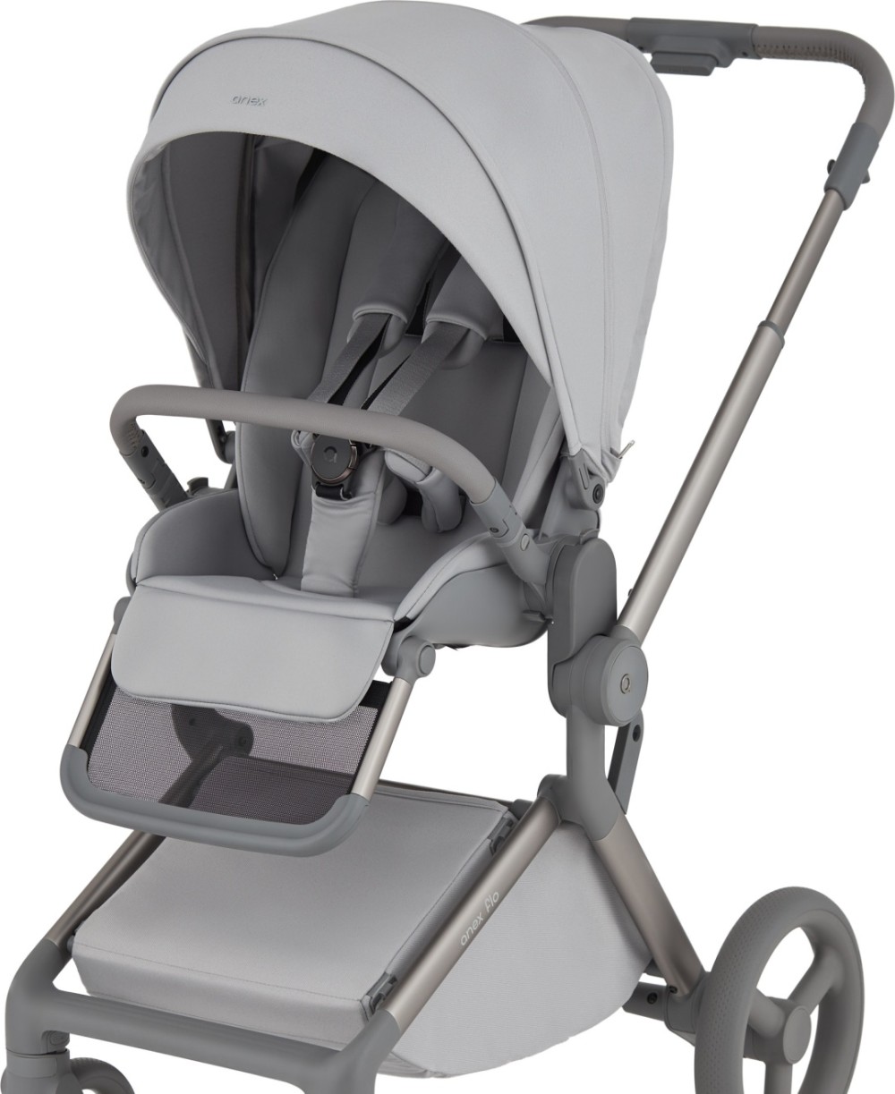 Коляска 2 в 1 Anex Flo Frossy