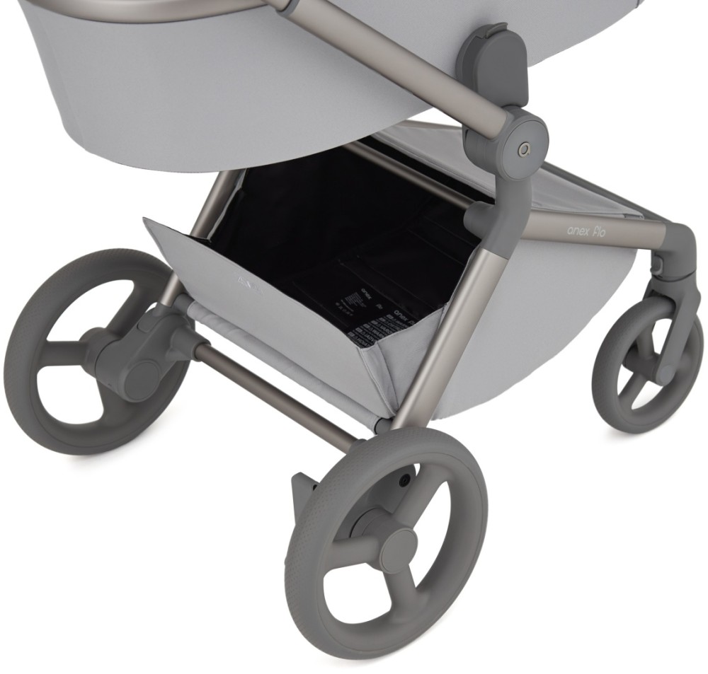 Коляска 2 в 1 Anex Flo Frossy