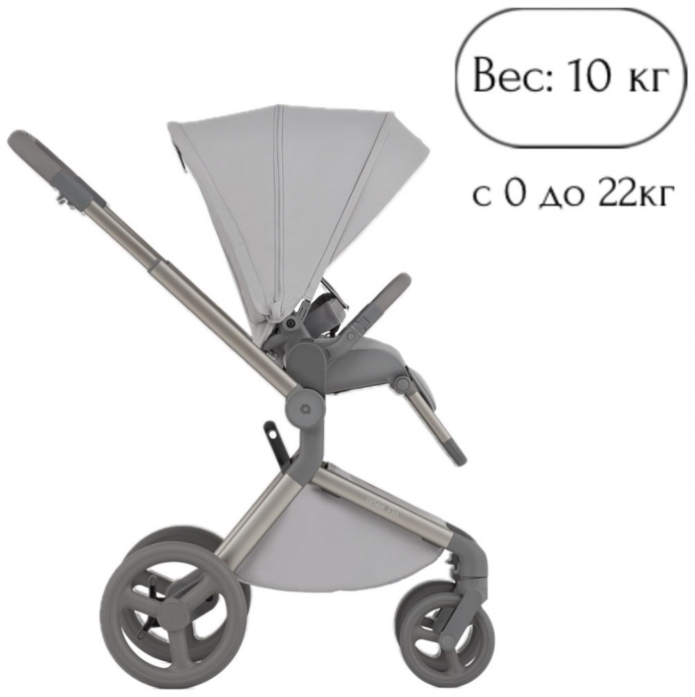 Коляска 2 в 1 Anex Flo Frossy