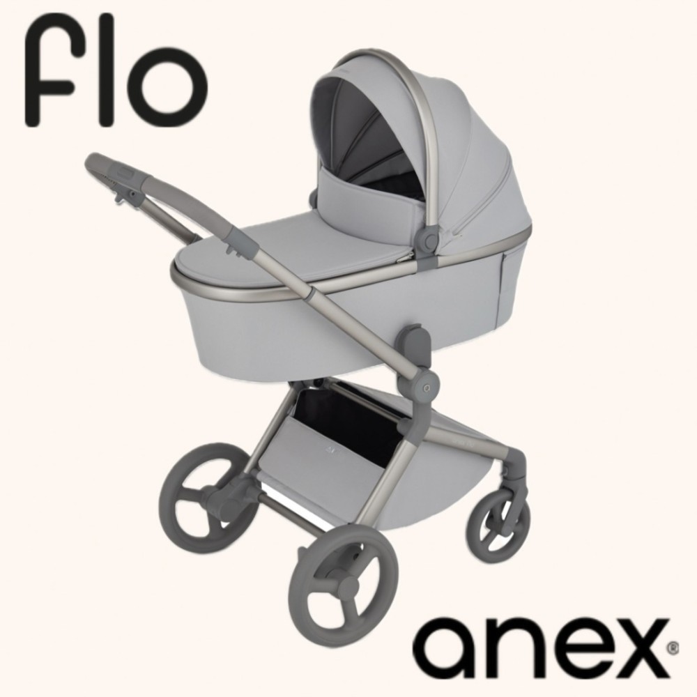 Коляска 2 в 1 Anex Flo Frossy