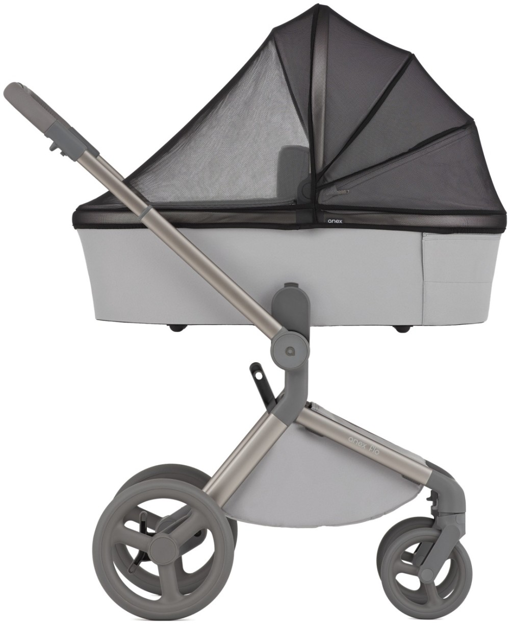 Коляска 2 в 1 Anex Flo Frossy