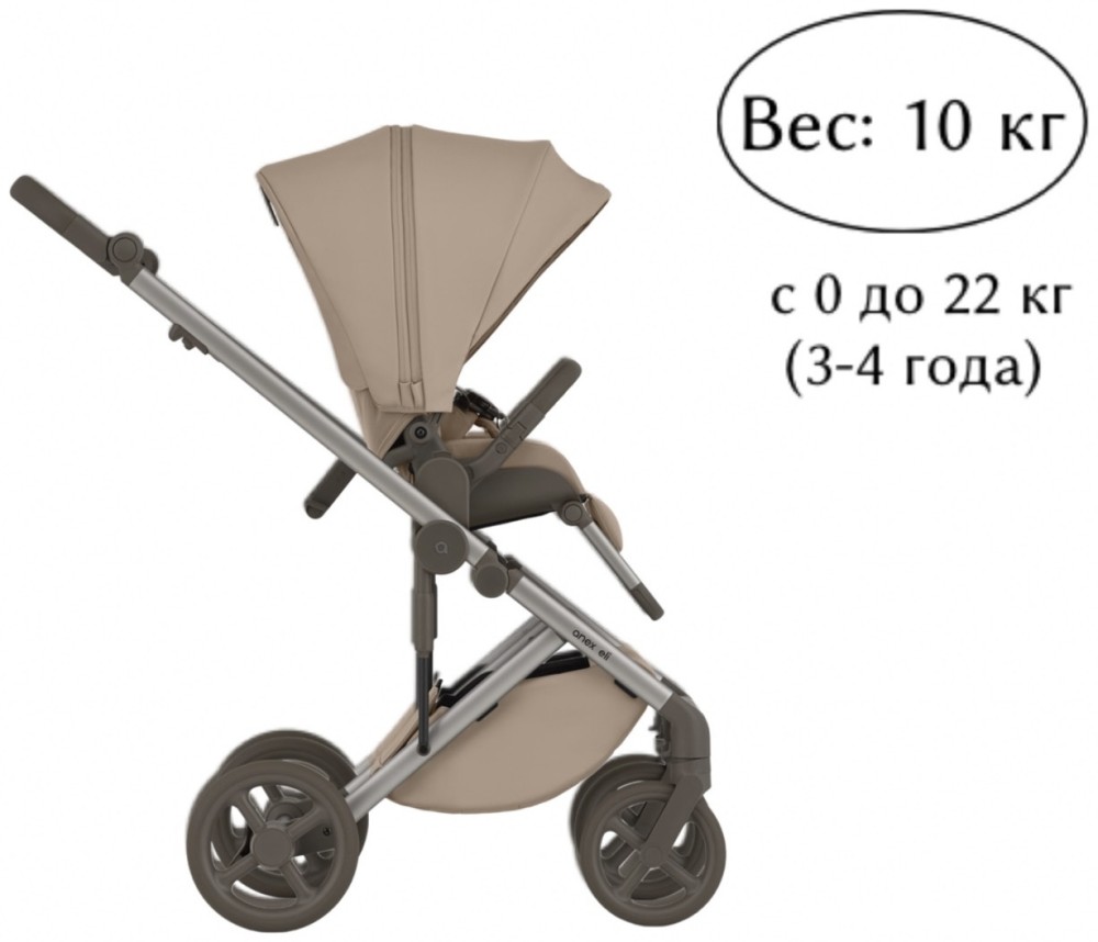 Коляска 2 в 1 Anex Eli Gato