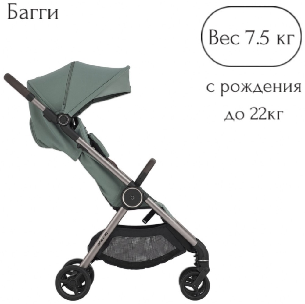 Коляска 2в1 Anex IQ Olly