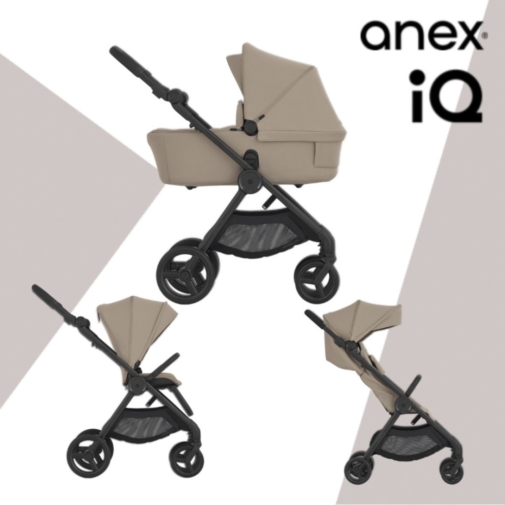 Коляска 2в1 Anex IQ Honey