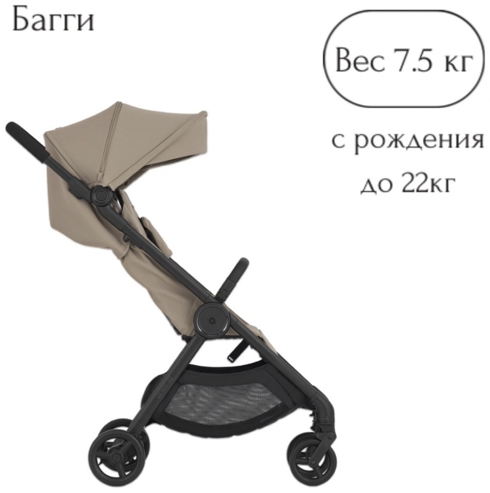 Коляска 2в1 Anex IQ Honey