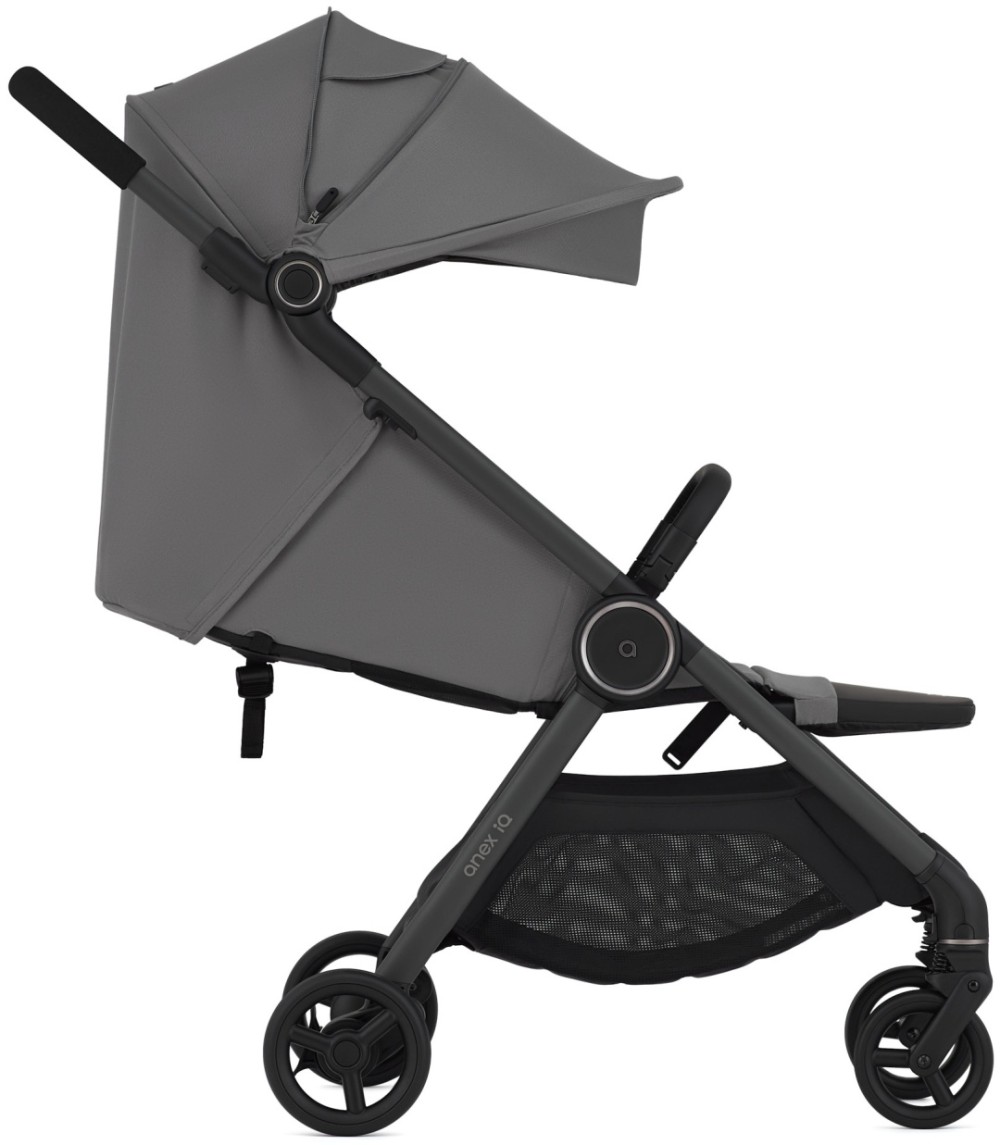 Коляска 2в1 Anex IQ Lune