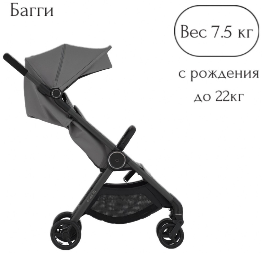 Коляска 2в1 Anex IQ Lune