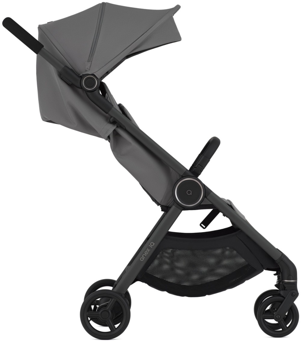 Коляска 2в1 Anex IQ Lune