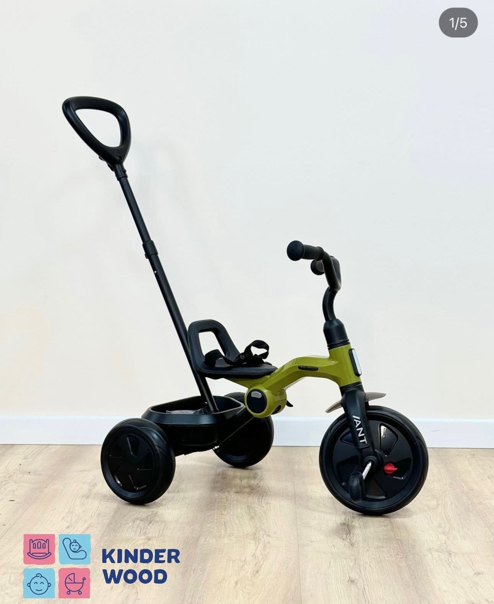 Велосипед QPlay Ant Green с ручкой