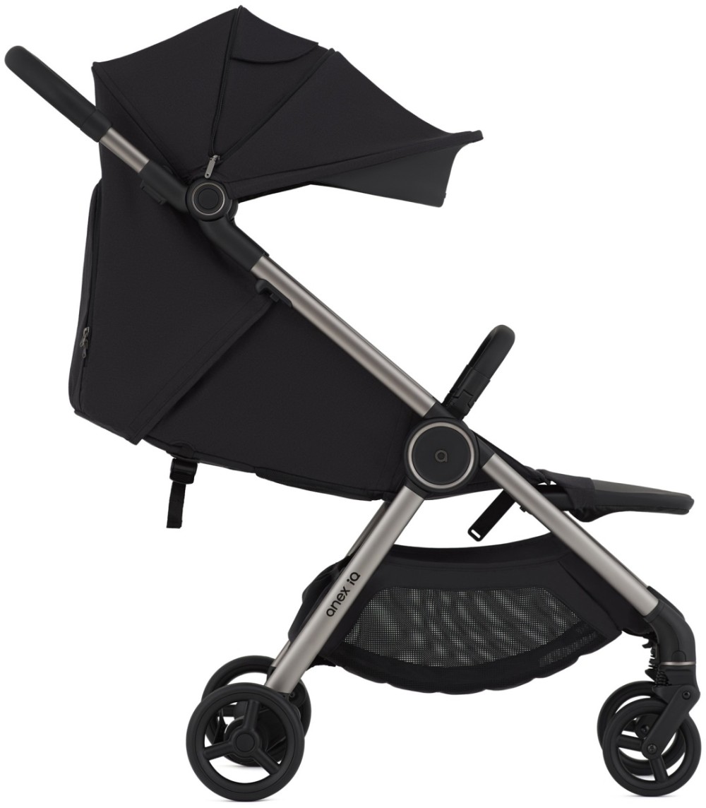 Коляска 2в1 Anex IQ Darke
