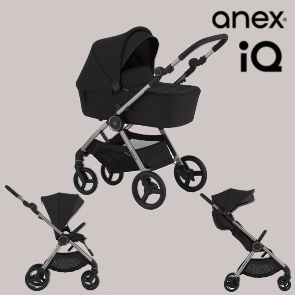Коляска 2в1 Anex IQ Darke